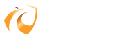FALCO SECURITY